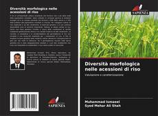 Buchcover von Diversità morfologica nelle acessioni di riso