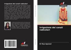 Buchcover von Irrigazione dei canali radicolari