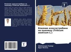 Bookcover of Влияние азоксистробина на пшеницу (Triticum aestivum L.)