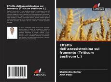 Capa do livro de Effetto dell'azossistrobina sul frumento (Triticum aestivum L.) 