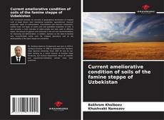 Capa do livro de Current ameliorative condition of soils of the famine steppe of Uzbekistan 
