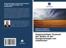 Bookcover of Gegenwärtiger Zustand der Böden in der Hungerssteppe von Usbekistan