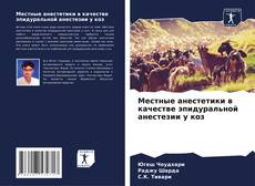 Bookcover of Местные анестетики в качестве эпидуральной анестезии у коз
