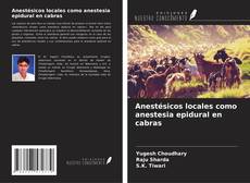 Buchcover von Anestésicos locales como anestesia epidural en cabras