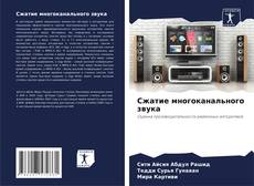 Buchcover von Сжатие многоканального звука