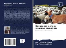 Bookcover of Бруцеллез мелких жвачных животных