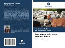 Bookcover of Brucellose bei kleinen Wiederkäuern