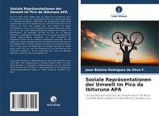 Soziale Repräsentationen der Umwelt im Pico da Ibituruna APA的封面
