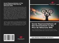 Couverture de Social Representations of the Environment in the Pico da Ibituruna APA