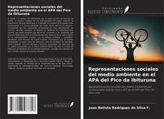 Portada del libro de Representaciones sociales del medio ambiente en el APA del Pico da Ibituruna