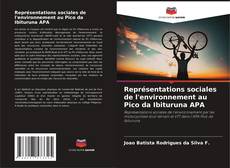 Couverture de Représentations sociales de l'environnement au Pico da Ibituruna APA