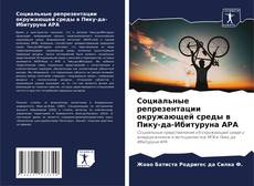 Bookcover of Социальные репрезентации окружающей среды в Пику-да-Ибитуруна APA