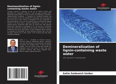 Capa do livro de Demineralization of lignin-containing waste water 