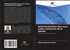Buchcover von Déminéralisation des eaux usées contenant de la lignine