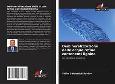 Buchcover von Demineralizzazione delle acque reflue contenenti lignina