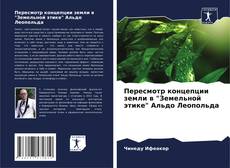Bookcover of Пересмотр концепции земли в "Земельной этике" Альдо Леопольда
