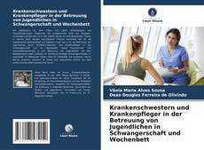 Bookcover of Krankenschwestern und Krankenpfleger in der Betreuung von Jugendlichen in Schwangerschaft und Wochenbett