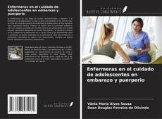 Capa do livro de Enfermeras en el cuidado de adolescentes en embarazo y puerperio 