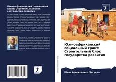 Portada del libro de Южноафриканский социальный грант: Строительный блок государства развития