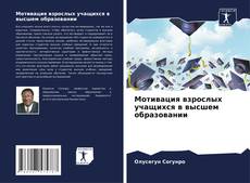 Мотивация взрослых учащихся в высшем образовании kitap kapağı