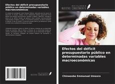 Bookcover of Efectos del déficit presupuestario público en determinadas variables macroeconómicas