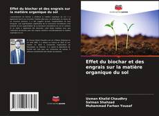 Portada del libro de Effet du biochar et des engrais sur la matière organique du sol