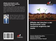 Обложка Effetto del biochar e dei fertilizzanti sulla sostanza organica del suolo