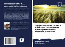 Portada del libro de Эффективность цинка и кинетика поглощения цинка различными сортами пшеницы