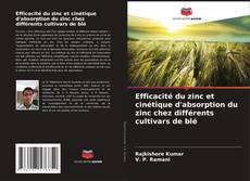 Portada del libro de Efficacité du zinc et cinétique d'absorption du zinc chez différents cultivars de blé