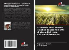 Bookcover of Efficienza dello zinco e cinetica di assorbimento di zinco di diverse cultivar di frumento