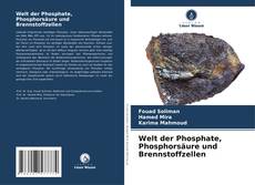 Welt der Phosphate, Phosphorsäure und Brennstoffzellen kitap kapağı