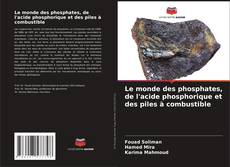 Buchcover von Le monde des phosphates, de l'acide phosphorique et des piles à combustible