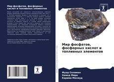 Bookcover of Мир фосфатов, фосфорных кислот и топливных элементов