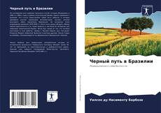 Capa do livro de Черный путь в Бразилии 