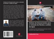 Portada del libro de Síntese de biossorventes para a remoção de floreto e sulfato da água