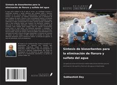 Copertina di Síntesis de biosorbentes para la eliminación de floruro y sulfato del agua