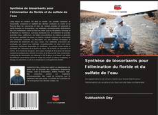 Portada del libro de Synthèse de biosorbants pour l'élimination du floride et du sulfate de l'eau