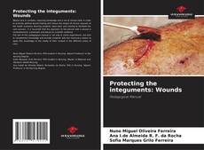 Buchcover von Protecting the integuments: Wounds