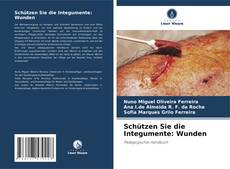 Capa do livro de Schützen Sie die Integumente: Wunden 