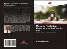 Mesurer l'inclusion financière en Afrique du Sud kitap kapağı