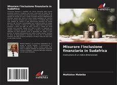 Buchcover von Misurare l'inclusione finanziaria in Sudafrica