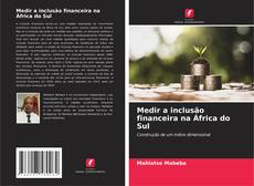 Capa do livro de Medir a inclusão financeira na África do Sul 