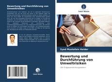 Buchcover von Bewertung und Durchführung von Umweltrisiken