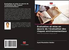Évaluation et mise en œuvre de l'évaluation des risques environnementaux kitap kapağı