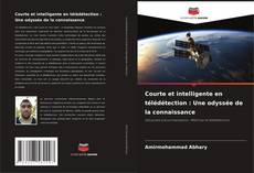 Buchcover von Courte et intelligente en télédétection : Une odyssée de la connaissance