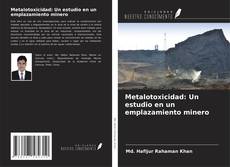 Copertina di Metalotoxicidad: Un estudio en un emplazamiento minero