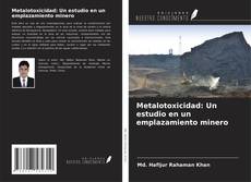 Bookcover of Metalotoxicidad: Un estudio en un emplazamiento minero