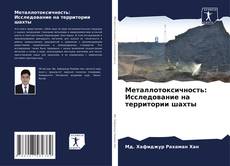 Bookcover of Металлотоксичность: Исследование на территории шахты