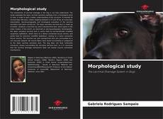 Capa do livro de Morphological study 