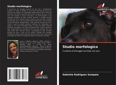 Bookcover of Studio morfologico